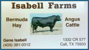 Isabell with black angus